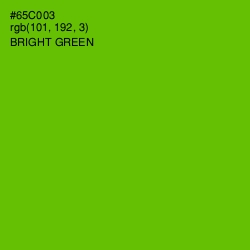 #65C003 - Bright Green Color Image