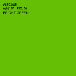 #65C005 - Bright Green Color Image