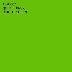 #65C007 - Bright Green Color Image