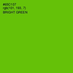 #65C107 - Bright Green Color Image