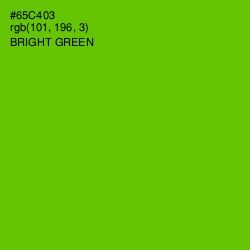 #65C403 - Bright Green Color Image