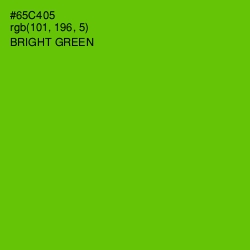 #65C405 - Bright Green Color Image