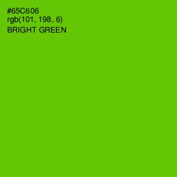 #65C606 - Bright Green Color Image