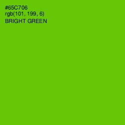 #65C706 - Bright Green Color Image