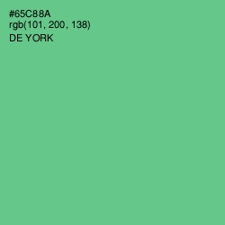 #65C88A - De York Color Image