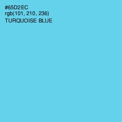 #65D2EC - Turquoise Blue Color Image