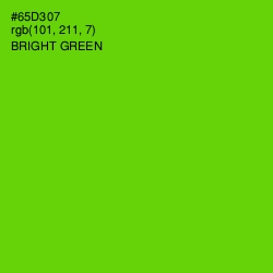 #65D307 - Bright Green Color Image