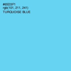 #65D3F1 - Turquoise Blue Color Image