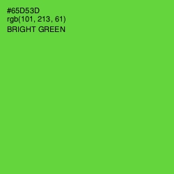 #65D53D - Bright Green Color Image