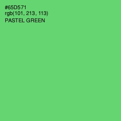 #65D571 - Pastel Green Color Image