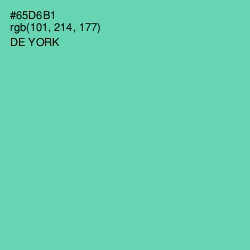 #65D6B1 - De York Color Image