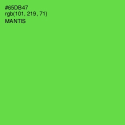 #65DB47 - Mantis Color Image