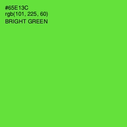 #65E13C - Bright Green Color Image