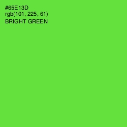 #65E13D - Bright Green Color Image