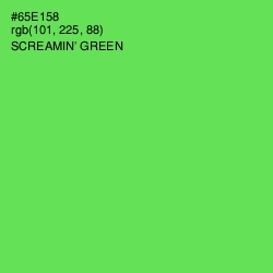 #65E158 - Screamin' Green Color Image