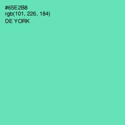 #65E2B8 - De York Color Image