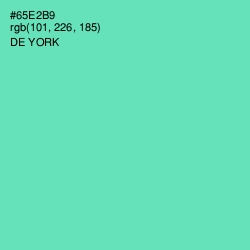 #65E2B9 - De York Color Image