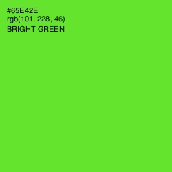 #65E42E - Bright Green Color Image