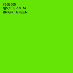 #65E505 - Bright Green Color Image