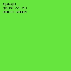#65E53D - Bright Green Color Image