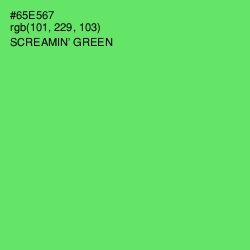 #65E567 - Screamin' Green Color Image