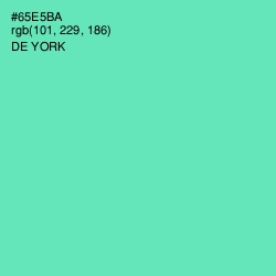 #65E5BA - De York Color Image