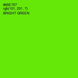 #65E707 - Bright Green Color Image