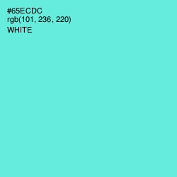 #65ECDC - Aquamarine Color Image