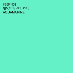 #65F1C8 - Aquamarine Color Image