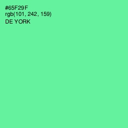 #65F29F - De York Color Image
