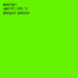 #65F301 - Bright Green Color Image