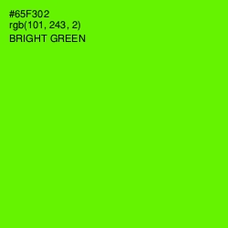 #65F302 - Bright Green Color Image