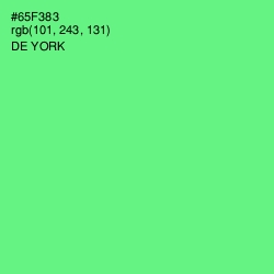 #65F383 - De York Color Image