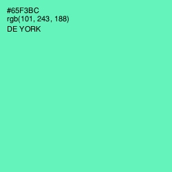 #65F3BC - De York Color Image