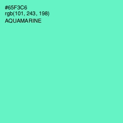 #65F3C6 - Aquamarine Color Image