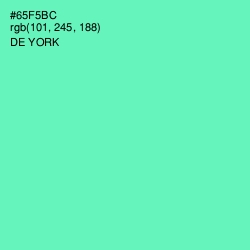 #65F5BC - De York Color Image