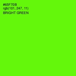 #65F70B - Bright Green Color Image