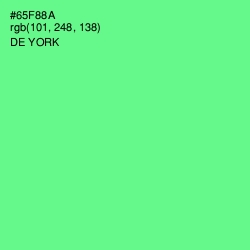 #65F88A - De York Color Image