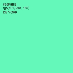 #65F8BB - De York Color Image