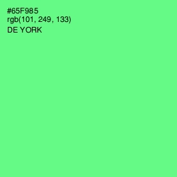 #65F985 - De York Color Image