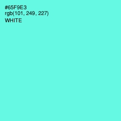 #65F9E3 - Aquamarine Color Image