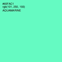 #65FAC1 - Aquamarine Color Image