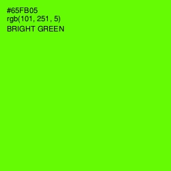 #65FB05 - Bright Green Color Image