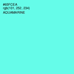 #65FCEA - Aquamarine Color Image