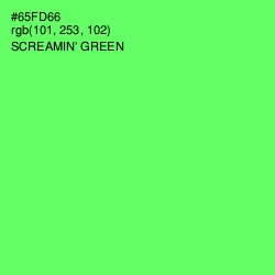 #65FD66 - Screamin' Green Color Image