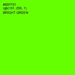 #65FF01 - Bright Green Color Image