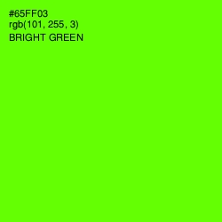 #65FF03 - Bright Green Color Image