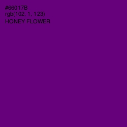 #66017B - Honey Flower Color Image