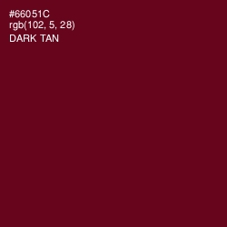 #66051C - Dark Tan Color Image