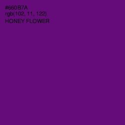 #660B7A - Honey Flower Color Image